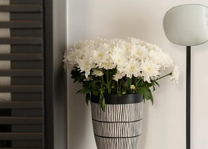 Otel Hotiday Mykonos North Coast 5*